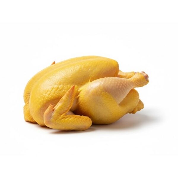 Gallina Amarilla