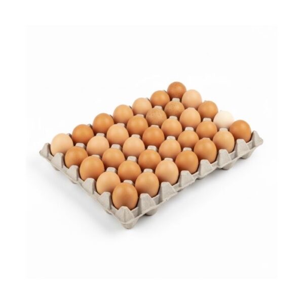 Huevos de Patio